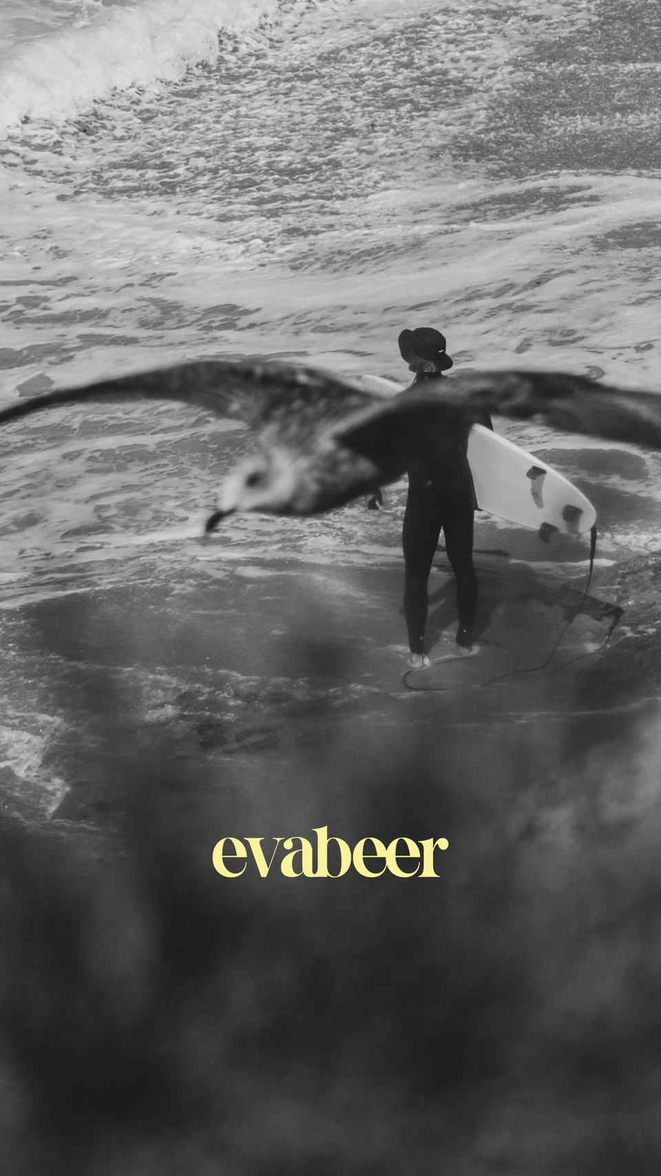 Eva Beer