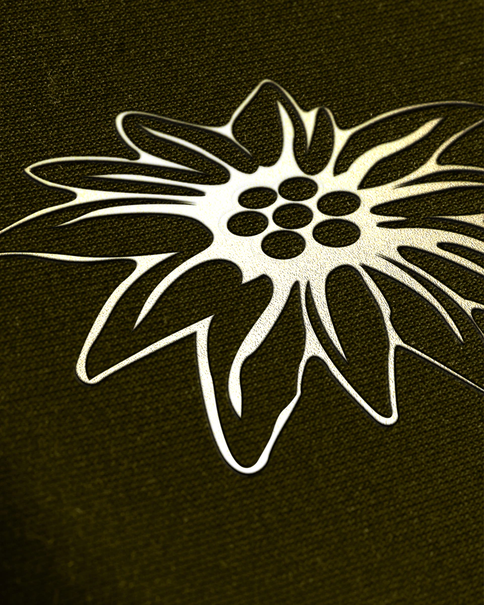 Logodesign Edelweiß Apartment Fernerkogel